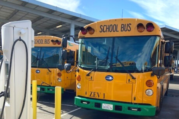 Two yellow electric school buses are parked, plugged in and charging on a sunny day.