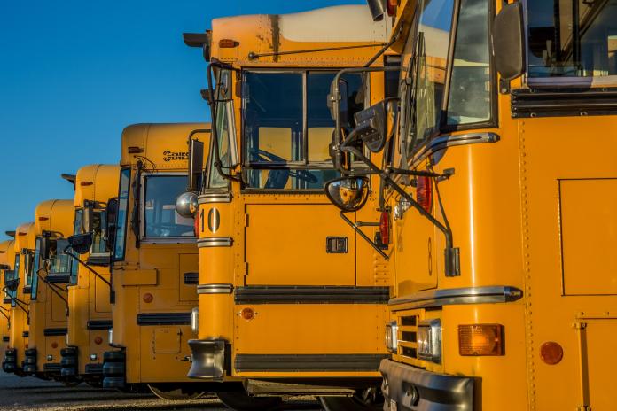 A row of school buses in front a blue sky.