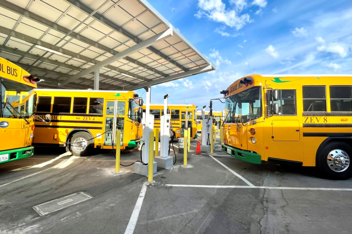 Electric school buses charge in a parking lot.