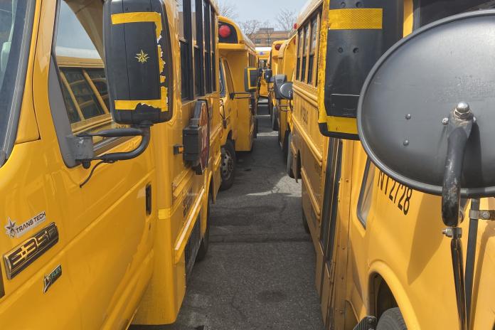 A row of electric school buses parked in a parking lot.