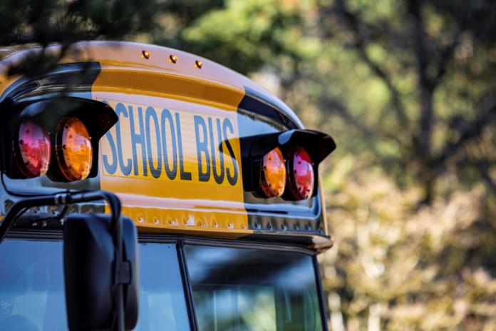 The top of a school bus, set against green trees.