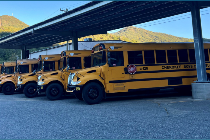 Electric school buses parked beneath solar panels.