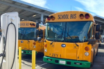 Two yellow electric school buses are parked, plugged in and charging on a sunny day.