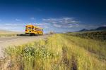 Three school buses drive on a rural road