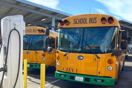 Two yellow electric school buses are parked, plugged in and charging on a sunny day.