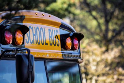 The top of a school bus, set against green trees.