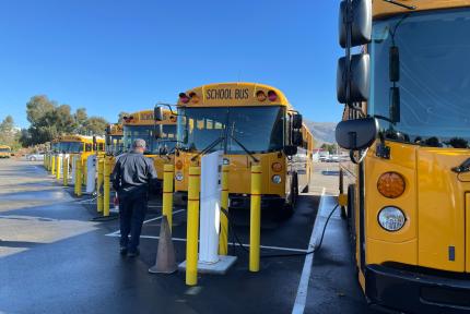Electric school buses charge in a parking lot, while a person walks nearby.