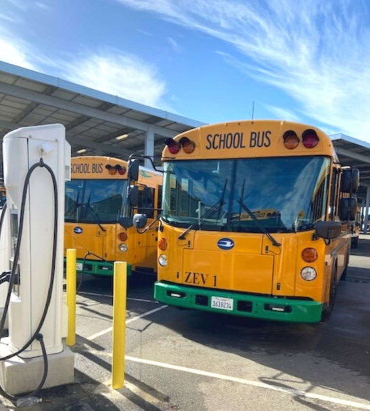 Two electric school buses, seen from the front, are parked under a blue sky in a bus lot. They are parked next to charging stations.