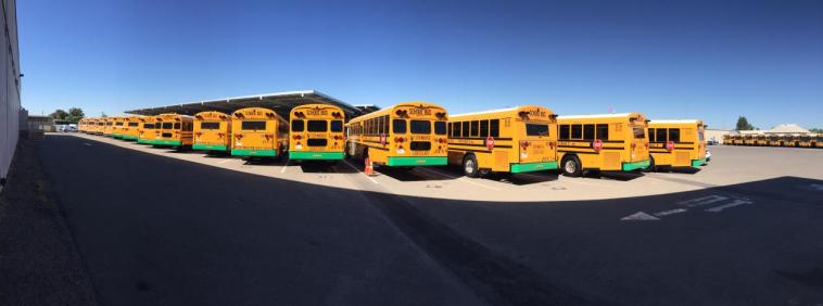 A line of yellow electric school buses parked under a blue sky.