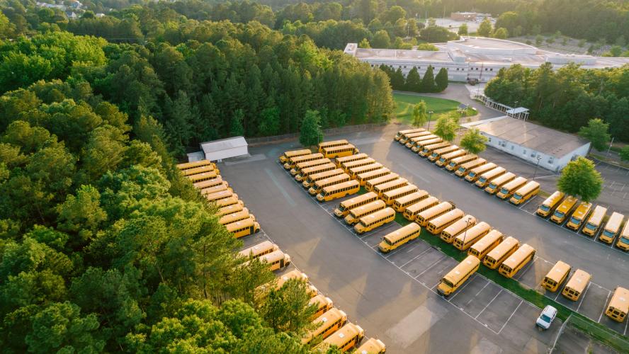 School buses parked in rows in a depot, surrounded by trees.